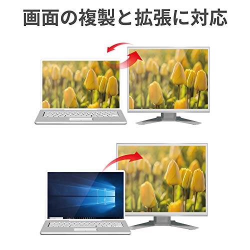 エレコム 変換ケーブル HDMI DisplayPort 2.0m ブラック CAC-DPHDMI20BK