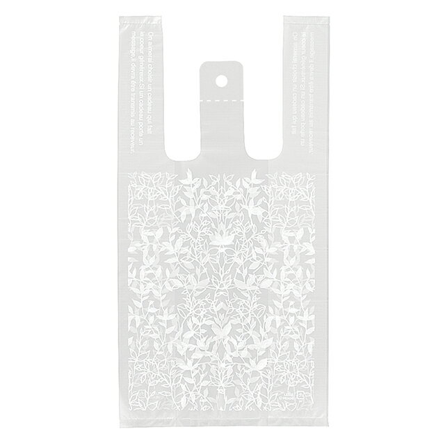 LEF-S ꡼եեȥ쥸Хå-S 100 { ե åԥ åԥ  åԥ ӥˡ 쥸 襤 }603[25H23]