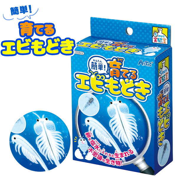 育てる エビモドキ { エビ 生き物 育成 }{ 知育 工作 実験 手作り 夏休み 課題 宿題 自由研究 学校 おうち ハンドクラフト アーテック artec }