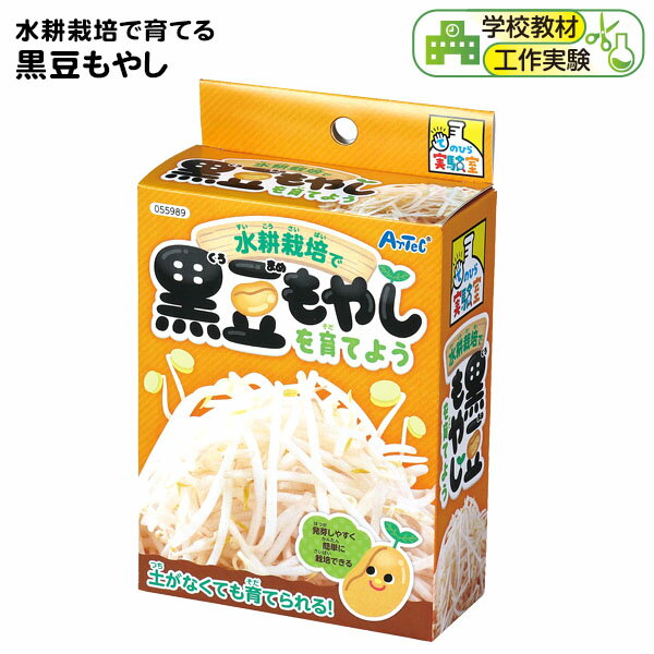 水耕栽培で育てる 黒豆もやし { もやし 植物 育成　栽培 }{ 知育 工作 実験 手作り 夏休み 課題 宿題 自由研究 学校 おうち ハンドクラフト アーテック artec }[22L08]のサムネイル