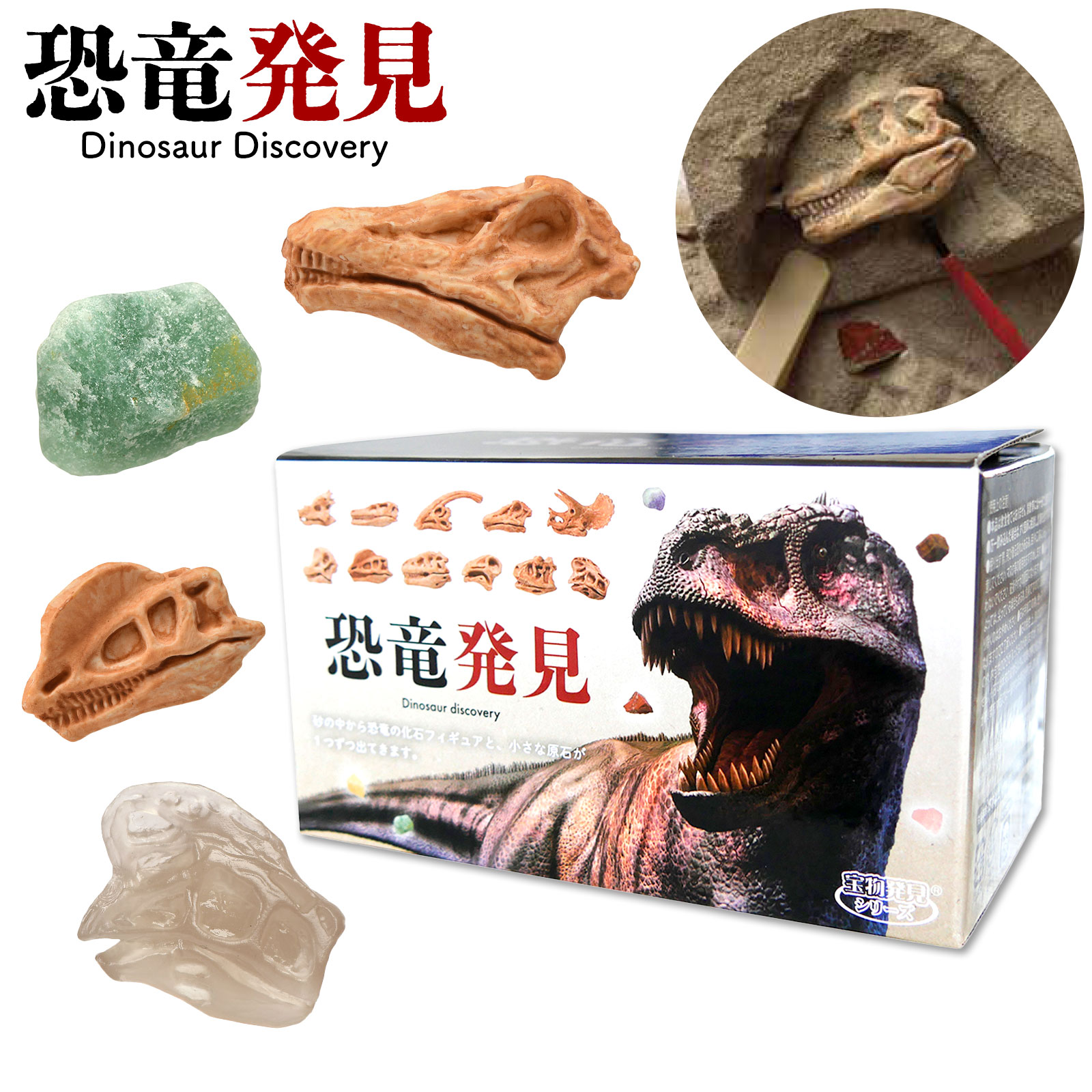 TKZ-39-01 恐竜発見 { 恐竜 化石 発掘 工作 キット ハンドメイド 夏休み 自由研究 実験 夏休み 親子 }{ おもちゃ ギフト プレゼント 景品 学習 知育 子供 キッズ 幼児 小学生 }[25H01]