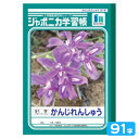 ショウワノート ジャポニカ学習帳 かんじれんしゅう 91字 JL-49-1 001491 { 新入学文具 学習帳 ノート 国語 漢字 練習 かんじ れんしゅう ...