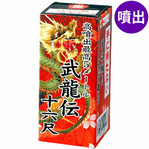 武龍伝十六尺 噴出花火 噴出し花火 噴き出し花火 { 花火 }{ 子供会 景品 お祭り くじ引き 縁日 夏祭り 夕涼み会 町内会 イベント キャ..