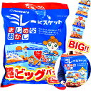 ミレービスケット 超ビッグパック 480g 16個装入 駄菓子 お菓子 ミレー ビスケット 個装 配布 個包装 小分け 子供会 景品 お祭り くじ引き 縁日 販促 配布 夏祭り 幼稚園 保育園 問屋 23C17