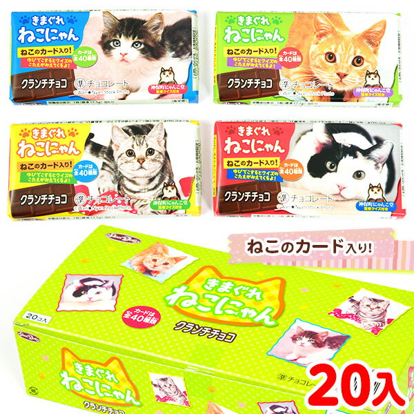 チョコレート（猫好き向き） きまぐれねこにゃん クランチチョコ 20個装入 { 駄菓子 お菓子 チョコレート チョコ 大量 チョコ クランチ ねこ ネコ 神保町にゃんこ堂 }{ 子供会 景品 個包装 配布 問屋 お祭り くじ引き 縁日 幼稚園 保育園 }[24A27]