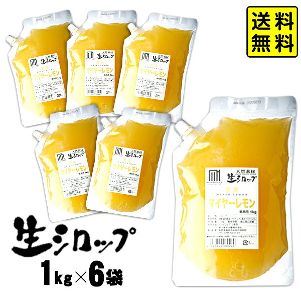 【かき氷シロップ 天然】マイヤーレモン 1kg×6袋入 果実感たっぷり ほんものの味 生シロップ { メイヤーレモン レモン 檸檬 かき氷 カキ氷 かきごおり シロップ 氷屋 削氷 業務用 氷みつ }{ 子供会 お祭り 縁日 }154[23C30] 送料無料(※沖縄・離島発送不可)