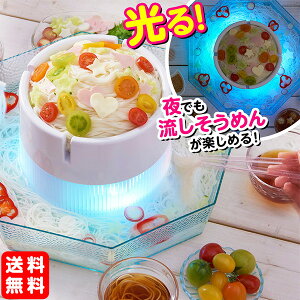 光るひんやり流しそうめん DWT19{流しそうめん機 流しそうめん器 子供会 お祭り 縁日 家庭用 ドウシシャ ギフト プレゼント}送料無料 (※沖縄・一部離島除く){あす楽 配送区分D}