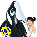 インテックス フロート シャチ ブラック ホエールライドオン 58561 幅193x高さ119cm INTEX { 浮き輪 うきわ 大人 子供 大きい }{ 黒 水遊び 海 川 プール ビニールボート }1773{あす楽　配送区分D}