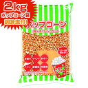 楽天フェスティバルプラザセット 調味料付きポップコーン豆 2kg { バタフライタイプ }{ ポップコーン ポップコーン豆 ポップコーン調味料 味付け 夢フル ココナッツオイル キャラメルポップコーン 子供会 お祭り 縁日 }[23H18]{あす楽　配送区分D}