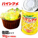 【賞味期限2028年10月】 パイン アミューズメント パインアメの缶詰 90g { 駄菓子 お菓子 飴 あめ アメ キャンディ 賞味期限5年長期保存可能 パイナップル 缶詰め かんづめ 保存用 非常食 }{ 子供会 景品 お祭り くじ引き 縁日 販促 配布 夏祭り 幼稚園 保育園 }[24B02]