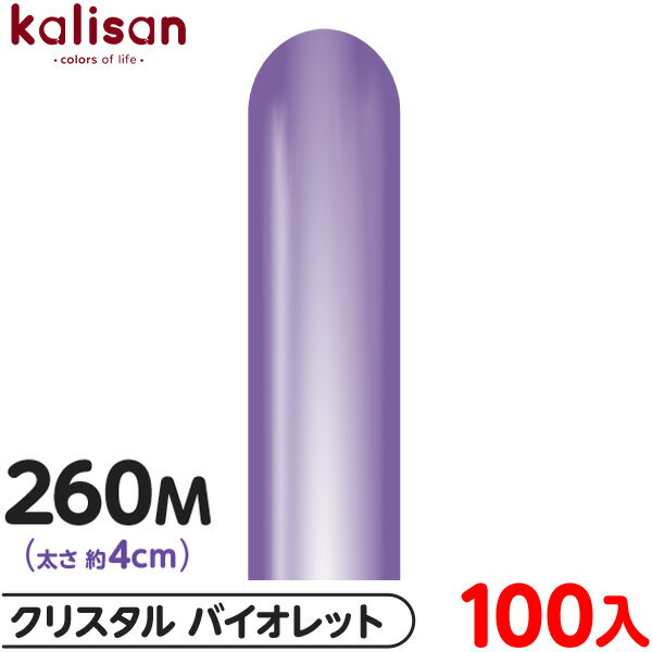 100 ꥵ ޥåХ롼 ķ 260M ñ ꥹ Хå {  Х롼  Ʃ ̵ ٥ ѡƥ  ...