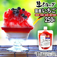 ｛かき氷シロップ 天然｝国産いちご 250g 果実感たっぷり ほんものの味 生シロップ {縁日 お祭 イベント かき氷 カキ氷 かきごおり シロップ 氷屋 削氷 業務用 氷みつ}[19D23]{子供会 景品 お祭り くじ引き 縁日}