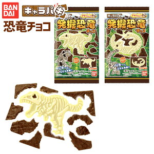 バンダイ キャラパキ 発掘恐竜{駄菓子 知育菓子 チョコ チョコレート菓子 化石 発掘 男の子 人気} {子供会 景品 人気 子供 お祭り 縁日 イベント くじ引き 福引き お菓子 おかし おやつ 配布} [20G17]