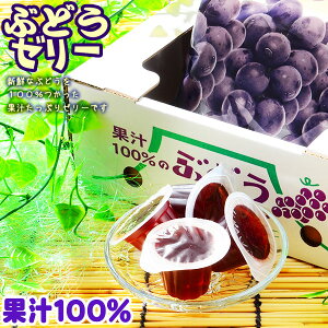 果汁100％ゼリー ぶどう 23個入{駄菓子 フルーツ ゼリー お土産 ギフト プレゼント 手土産} {子供会 景品 お祭り くじ引き 縁日 お菓子} [21E20]