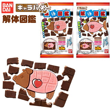 バンダイ キャラパキ 解体図鑑{駄菓子 チョコ チョコレート チョコ菓子 知育 知育菓子} {子供会 景品 お祭り くじ引き 縁日 お菓子 個装 個包装 配布} [20I07]