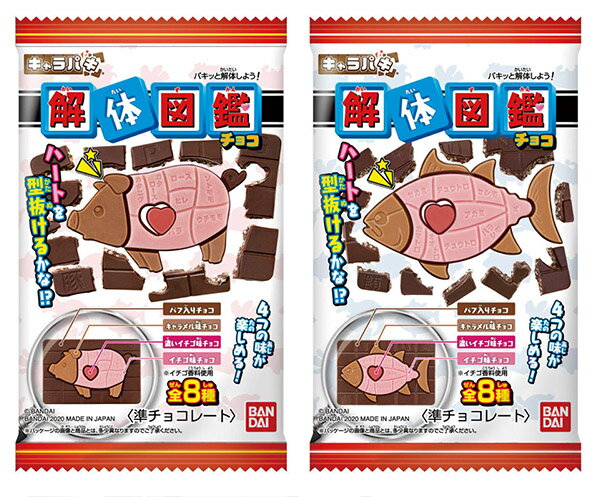 バンダイ キャラパキ 解体図鑑{駄菓子 チョコ チョコレート チョコ菓子 知育 知育菓子} {子供会 景品 お祭り くじ引き 縁日 お菓子 個装 個包装 配布} [20I07]