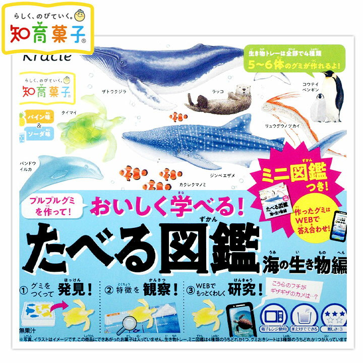 グミ 【エントリーで3個P10倍 2個P5倍】クラシエ たべる図鑑 海の生き物編 { 駄菓子 海 魚 さかな 海の生き物 海洋生物 グミ 人気 知育菓子 作る 手作り 実験 おかし }{ お菓子 おかし おやつ 子供 子ども こども 人気 }