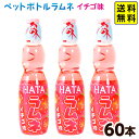 ペットボトルラムネ ハタ ペットラムネ イチゴ味 250ml 60本入 駄菓子 お菓子 業務用ペットボトル ラムネ 瓶ラムネ ビンラムネ いちご お祭り 縁日 子供会 問屋 夏祭り 炭酸 飲料 ドリンク ケース 24D13 送料無料(※沖縄 離島発送不可)