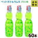 ペットボトルラムネ ハタ ペットラムネ メロン味 250ml 60本入 { 駄菓子 お菓子 業務用ペットボトル ラムネ ビンラムネ メロン }{ お祭り 縁日 子供会 問屋 夏祭り 炭酸 ドリンク ケース }[24D13] 送料無料(※沖縄・離島発送不可)