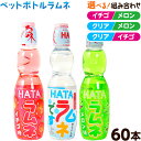 大阪京菓ZRおかし企画　OE石井　4000グラム【目安として約3400個】 コーラ ＆ サイダー 糖衣 ラムネ ×1袋【fu】【送料無料（沖縄は別途送料）】