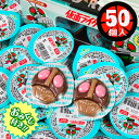 仮面ライダー レリーフチョコ 50個装入 駄菓子 お菓子 チョコ チョコレート 駄菓子 お菓子 おかし おやつ 景品 お祭り 縁日 問屋 子供会 お子様ランチ 詰め合わせ 大量 まとめ買い 保育園 幼稚園 パーティー イベント 配布 24A09 あす楽 配送区分D