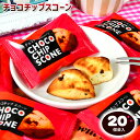 チョコチップ スコーン 20個装入 { 