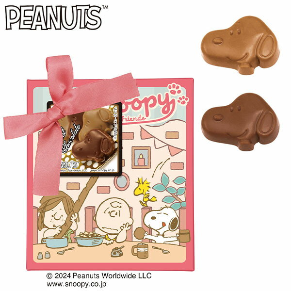 楽天フェスティバルプラザハート スヌーピー スイートショコラ { 駄菓子 お菓子 snoopy かわいい 女の子 500円以下 }{ バレンタイン チョコ チョコレート 2024 バレンタインチョコ キャラクター 子供 バレンタインギフト プレゼント 人気 お菓子 おかし }[24D08]{あす楽　配送区分D}