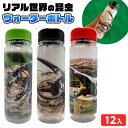 リアル世界の昆虫 ウォーターボトル 12個装入 { 景品玩具 昆虫 水筒 ウォーターボトル 水分補給 熱中症対策 }{ 景品 おもちゃ 詰め合わせ お祭り 縁日 問屋 子供 子供会 自治会 祭 お子様ランチ 大量 まとめ買い 保育園 幼稚園 パーティー イベント 配布 }277[24C27]