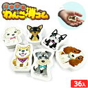 ほのぼの わんこ 消しゴム 36個入 { 景品玩具 けしごむ 犬 ワンコ かわいい }{ 景品 おもちゃ 文具 文房具 詰め合わせ お祭り 夏祭り 縁日 問屋 ...