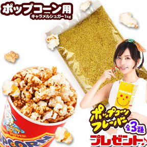 キャラメルシュガー 1kg{ポップコーン フレーバー ポップコーン豆 ポップコーン調味料 味付け ココナッツオイル キャラメルポップコーン ポップコーンメーカー ポップコーンマシーン} {子供会 お祭り 縁日} [20L15][omkpop-AA-00005omk]