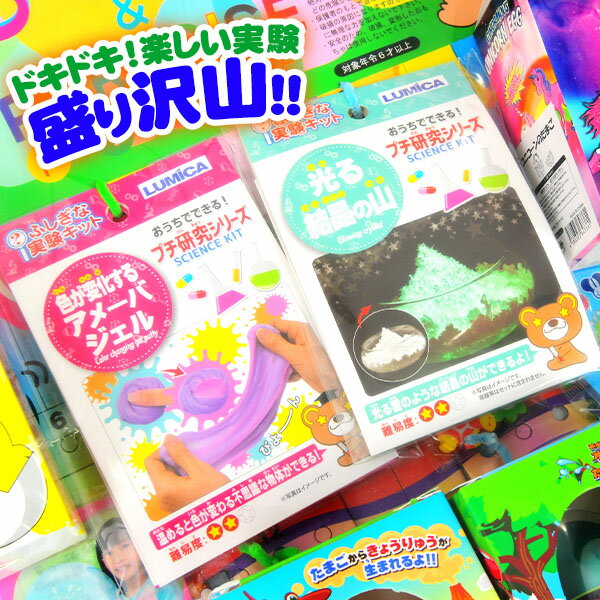 当てくじ 不思議な実験当て 50円×80回 { お祭り くじ引き 縁日 あてくじ くじ クジ クジ引き }{ 当てくじ DIY 幼稚園 夏祭り 景品 子供会 子供 人気 男の子 女の子 子供 おもちゃ 工作 実験 問屋 }[24E14] 送料無料(※沖縄・離島発送不可) 2