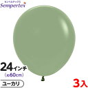 3枚 センペルテックス ラウンド 丸型 24インチ (約60cm) 単色 ファッション ユーカリ { イベント パーティー 装飾 誕生日 バースデー 結婚式 ウ...