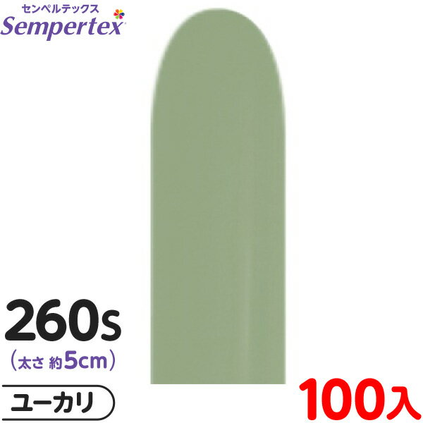 100 ڥƥå ޥåХ롼 Ĺ 260S ñ եå 桼 { ٥ ѡƥ   Сǡ 뺧 ...