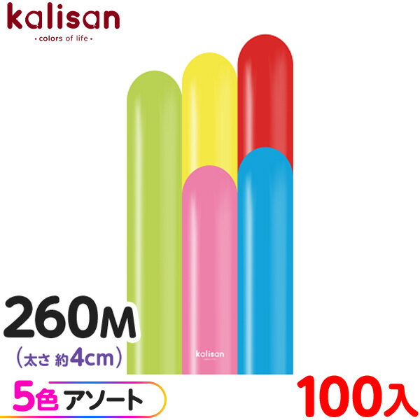 100 ꥵ ޥåХ롼 ķ 260M  ɥ˥Х { ٥ ѡƥ   Сǡ 뺧 ǥ...