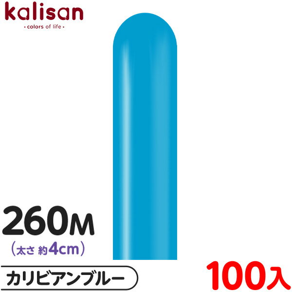 100 ꥵ ޥåХ롼 ķ 260M ñ  ӥ֥롼 { ٥ ѡƥ   Сǡ 뺧 ǰ...