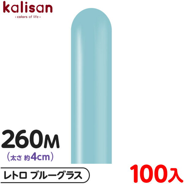 100 ꥵ ޥåХ롼 ķ 260M ñ ȥ ֥롼饹 { ٥ ѡƥ   Сǡ 뺧 ǥ ...