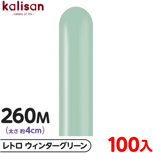 100 ꥵ ޥåХ롼 ķ 260M ñ ȥ 󥿡꡼ { ٥ ѡƥ   Сǡ 뺧 ǥ...