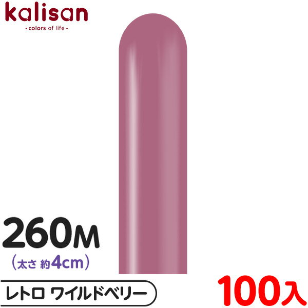 100 ꥵ ޥåХ롼 ķ 260M ñ ȥ 磻ɥ٥꡼ { ٥ ѡƥ   Сǡ 뺧 ǥ ...