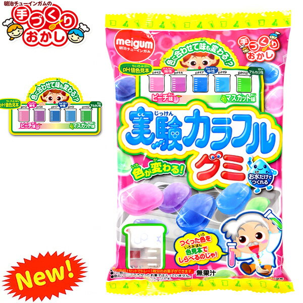 実験カラフルグミ{子供会 景品 お祭り くじ引き 縁日 お菓子 個装 個包装 配布} {駄菓子 作る 手作り 実験 おかし 知育菓子 グミ} [21A09]