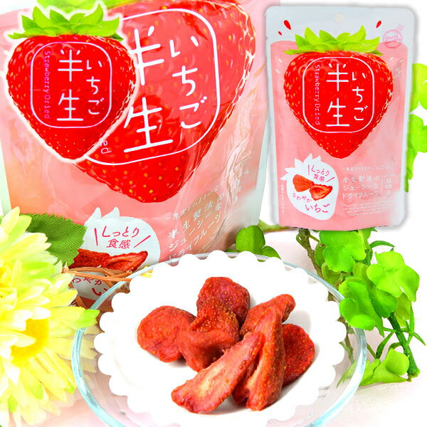 半生フルーツ いちご { 駄菓子 お菓子 おかし おやつ 景品 お祭り 縁日 問屋 パーティー 茶菓子 ティー..