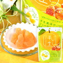 半生フルーツ はちみつなし { 駄菓子 お菓子 おかし おやつ 景品 お祭り 縁日 問屋 パーティー 茶菓子 ティータイム 紅茶 菓子 }{ 駄菓子 お菓子 な...