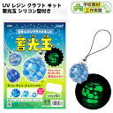 UV レジン クラフト キット 蓄光玉 シリコン型付き { 学校教材 クラフトホビー 工作素材 オモチャ おもちゃ 玩具 子供 夏休み }{ DIY キット 自由研究 知育玩具 キッズ 工作 図工 宿題 学習 課題 学校 教材 光る ボール 手作り アーテック artec }[23C08]