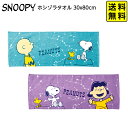スヌーピー ホシゾラタオル 30x80cm 【送料無料 ポスト投函】{ キャラクター グッズ かわいい 雑貨 日用品 人気 ギフト 贈り物 誕生日プレゼント プ...