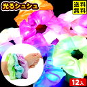festival-plus:10066999のサンプル画像1