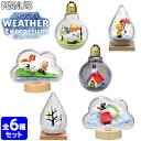 リーメント SNOOPY WEATHER Terrarium 6個入{コレクターズアイテム コレクション コンプリートセット ミニサイズ 大人買い} {景品玩具 ミニチュアフィギュア ミニチュア玩具 ミニチュア雑貨 食玩 模型 box} [21F07]