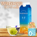 楽天フェスティバルプラザPLUSハニー ワロッカ ノンアルシロップ ウメシュ風 1L { ドリンク飲料 ドリンクシロップ シロップ 希釈 かき氷 カキ氷 業務用 イベント お祭り 縁日 屋台 アウトドア キャンプ 海 ビーチ 川 外遊び }{ warocca ノンアルコール ベースシロップ 飲料 梅 うめ ウメ }[23G21]