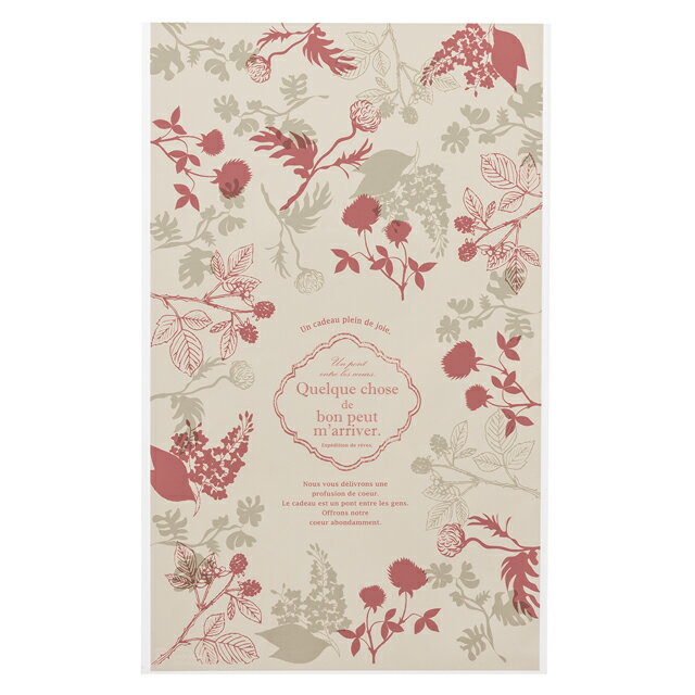 MRX-OP3 モダンリラックス OPPギフトバッグ-3 ( 50枚 ) { ギフト ラッピング 袋 プレゼント 人気 資材 イベント パーティー袋 包装 包装...