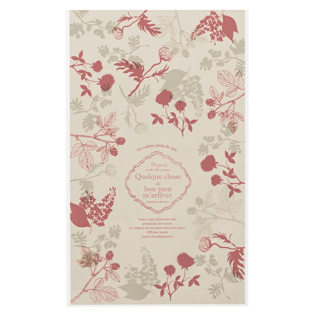 MRX-OP4 モダンリラックス OPPギフトバッグ-4 ( 50枚 ) { ギフト ラッピング 袋 プレゼント 資材 イベント パーティー袋 包装 包装資材 ...