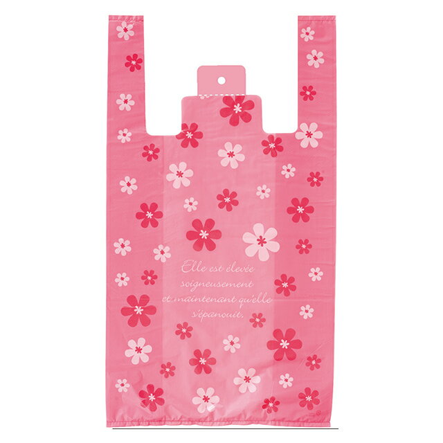 LVF-L ֥꡼ե쥸Хå-L 100 { ե åԥ  åԥ  åԥ ӥˡ 쥸 襤 }603[23...