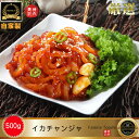 ◆冷蔵◆ 自家製 イカ 塩辛 500g /韓